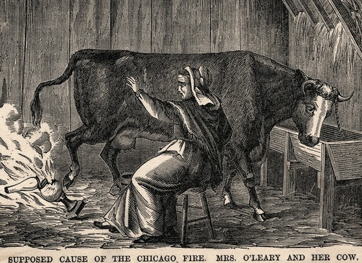 Ảnh: BrightSide Ảnh: BrightSide