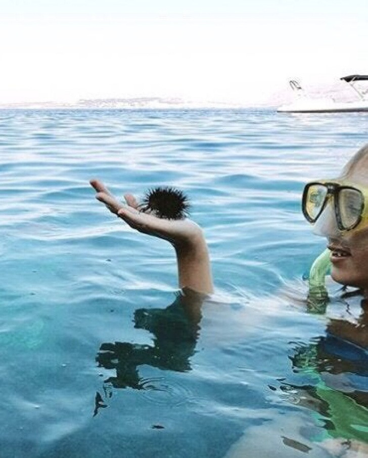 Ảnh: BrightSide Ảnh: BrightSide