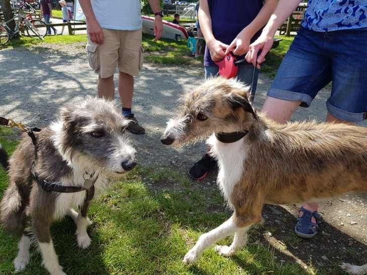 Ảnh: BrightSide Ảnh: BrightSide