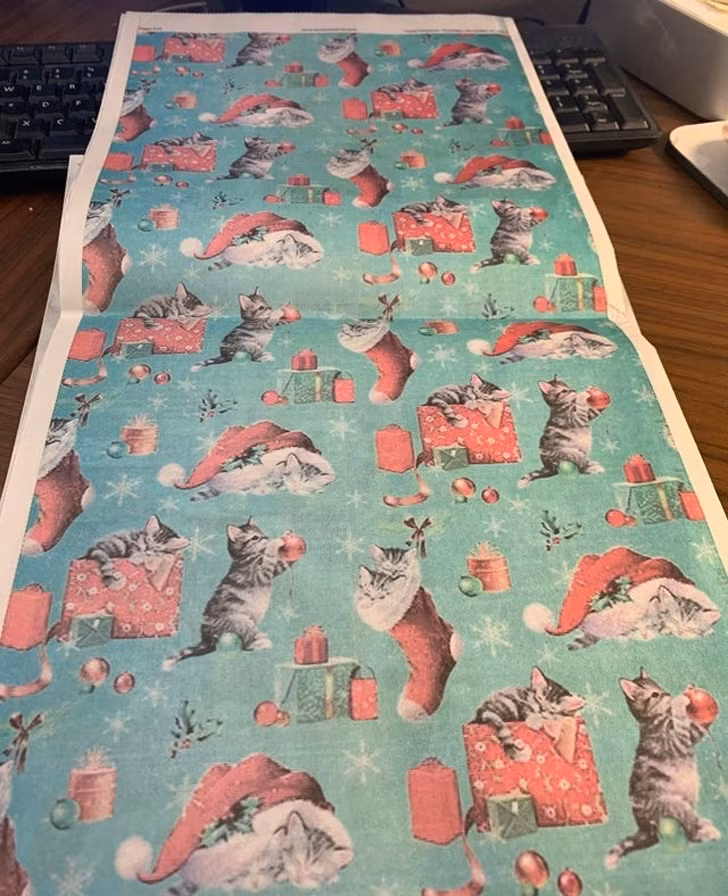 Ảnh: BrightSide Ảnh: BrightSide