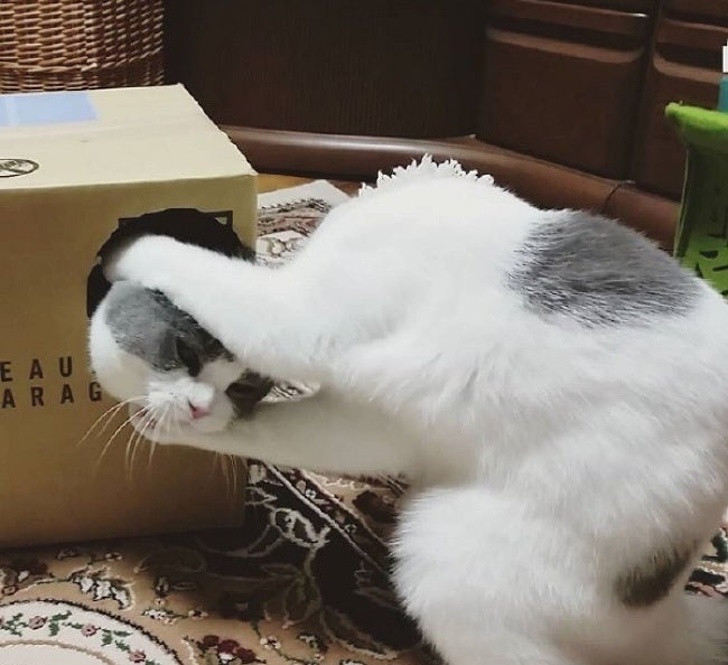 Ảnh: BrightSide Ảnh: BrightSide