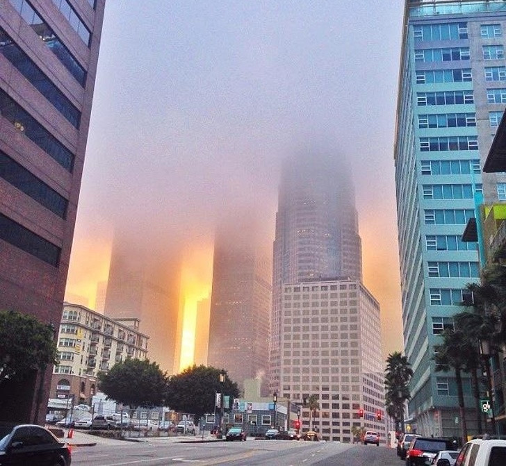 Ảnh: BrightSide Ảnh: BrightSide