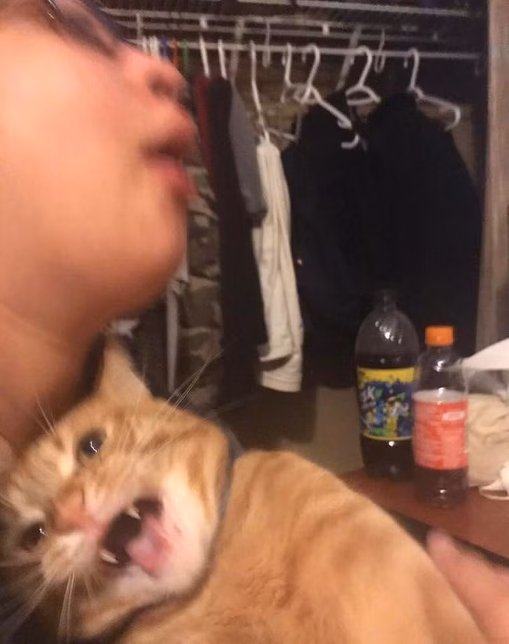 Ảnh: BrightSide Ảnh: BrightSide