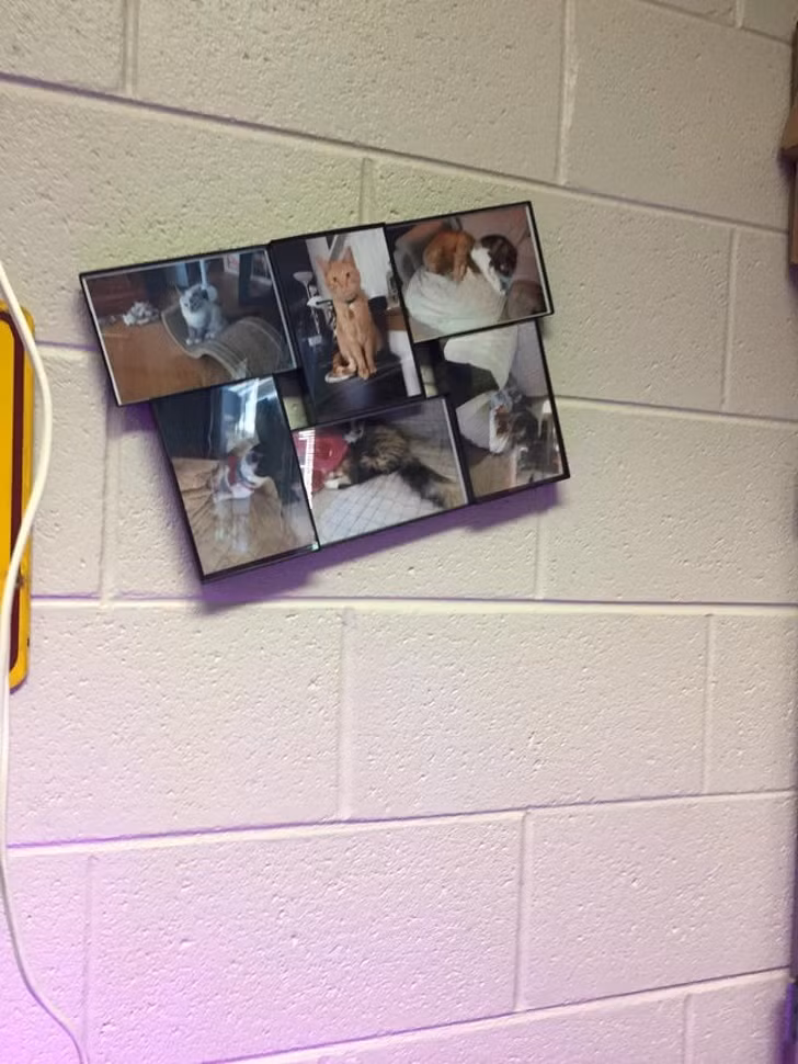 Ảnh: BrightSide Ảnh: BrightSide