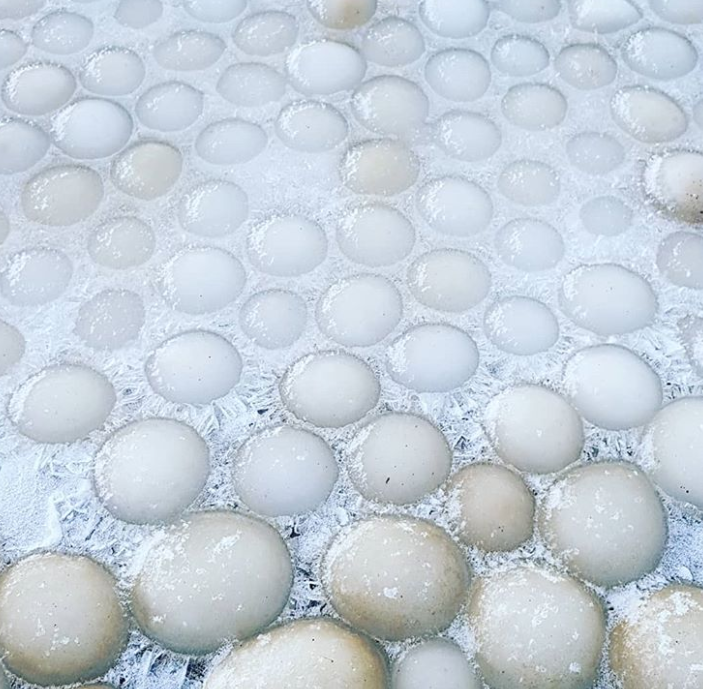 Ảnh: BrightSide Ảnh: BrightSide