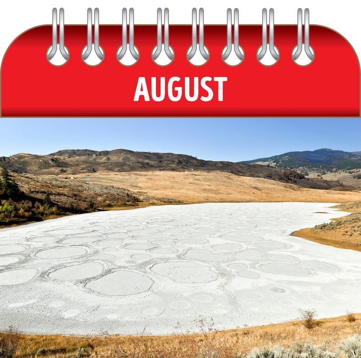 Ảnh: BrightSide Ảnh: BrightSide