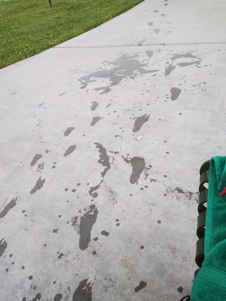 Ảnh: BrightSide Ảnh: BrightSide