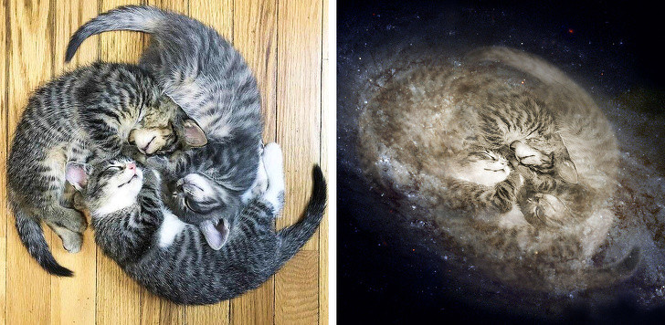 Ảnh: BrightSide Ảnh: BrightSide