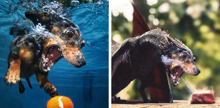 Ảnh: BrightSide Ảnh: BrightSide