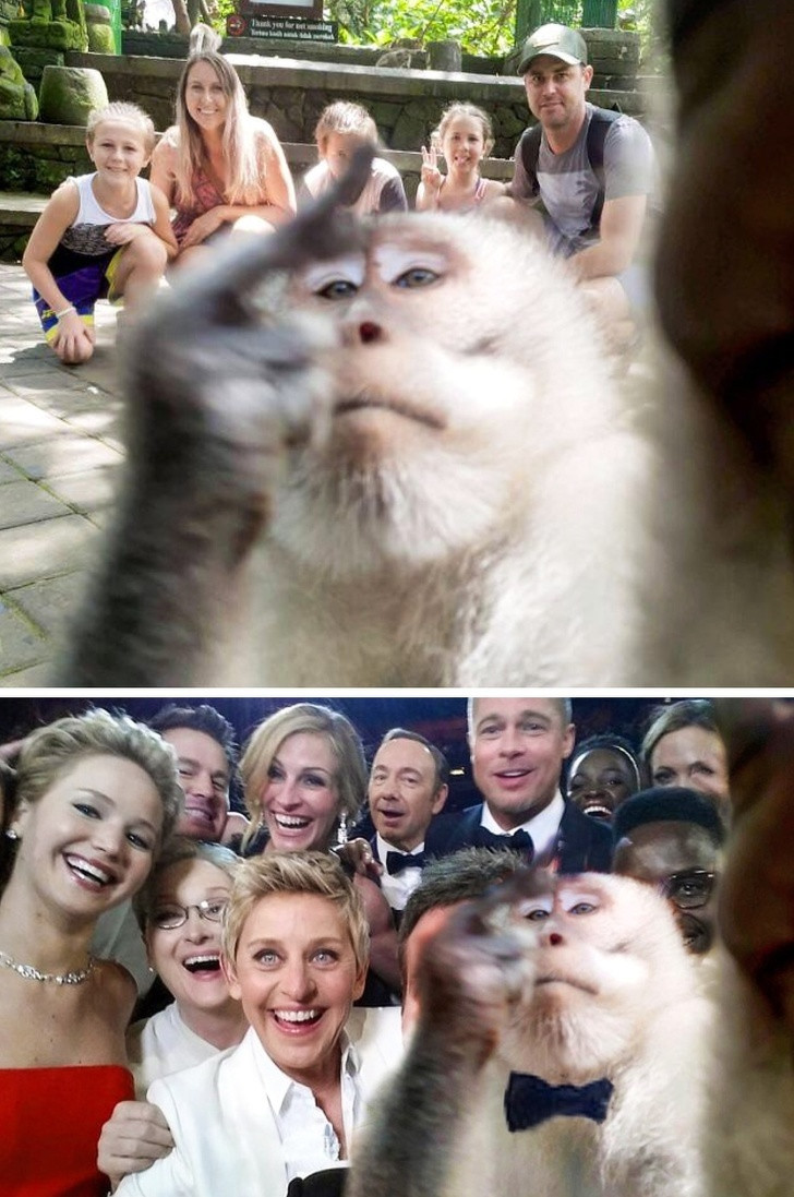 Ảnh: BrightSide Ảnh: BrightSide