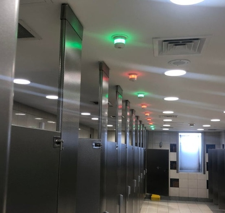 Ảnh: BrightSide Ảnh: BrightSide