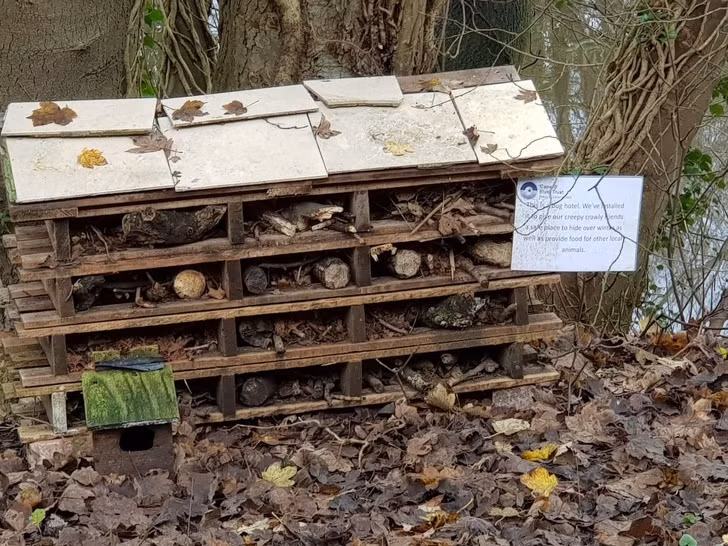 Ảnh: BrightSide Ảnh: BrightSide