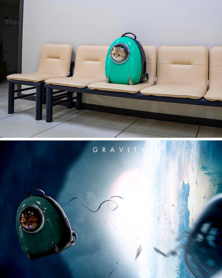 Ảnh: BrightSide Ảnh: BrightSide