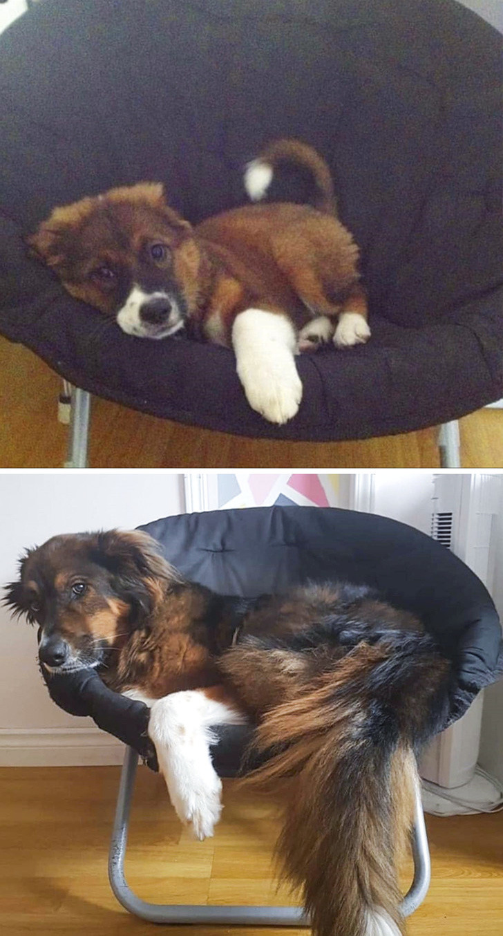 Ảnh: BrightSide Ảnh: BrightSide