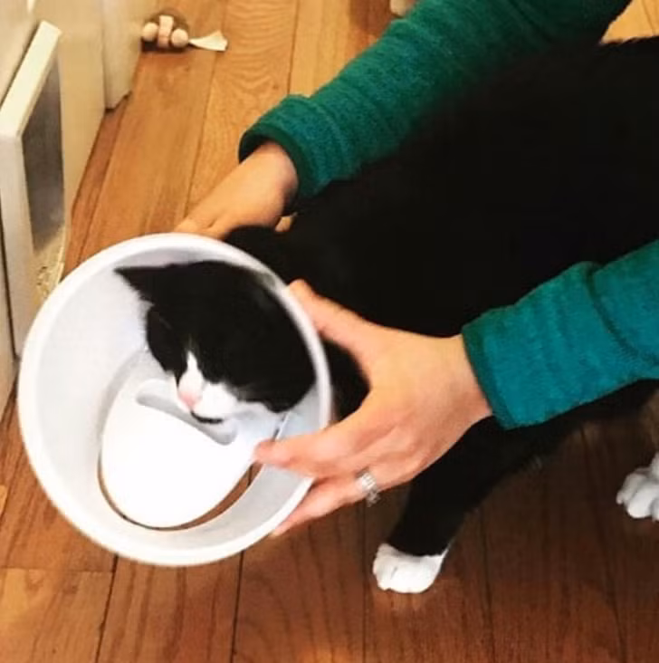 Ảnh: BrightSide Ảnh: BrightSide