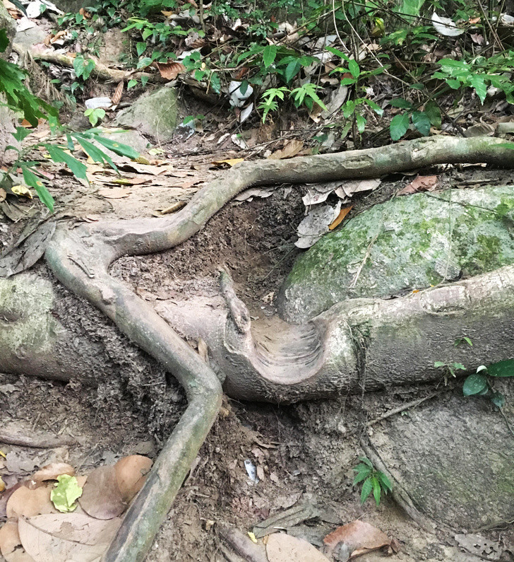 Ảnh: BrightSide Ảnh: BrightSide