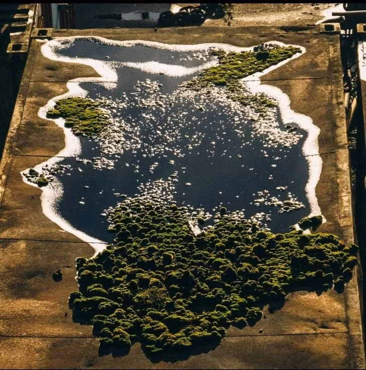 Ảnh: BrightSide Ảnh: BrightSide