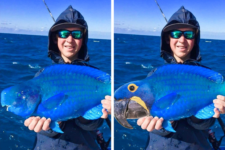 Ảnh: BrightSide Ảnh: BrightSide