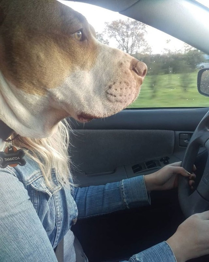 Ảnh: BrightSide Ảnh: BrightSide