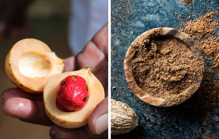 Ảnh: BrightSide Ảnh: BrightSide