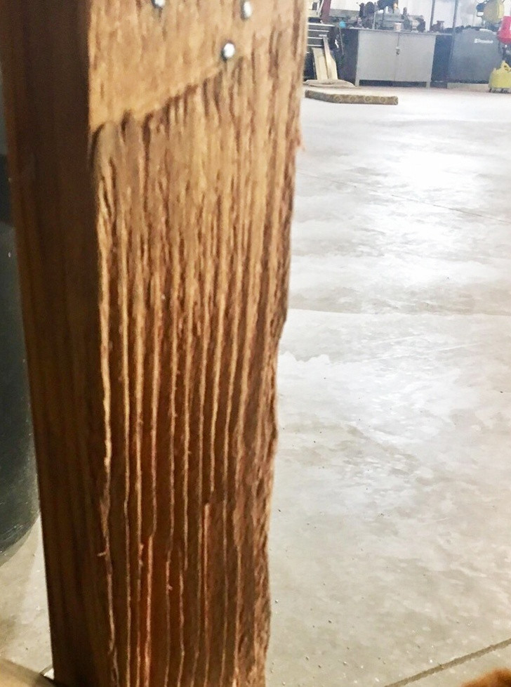 Ảnh: BrightSide Ảnh: BrightSide