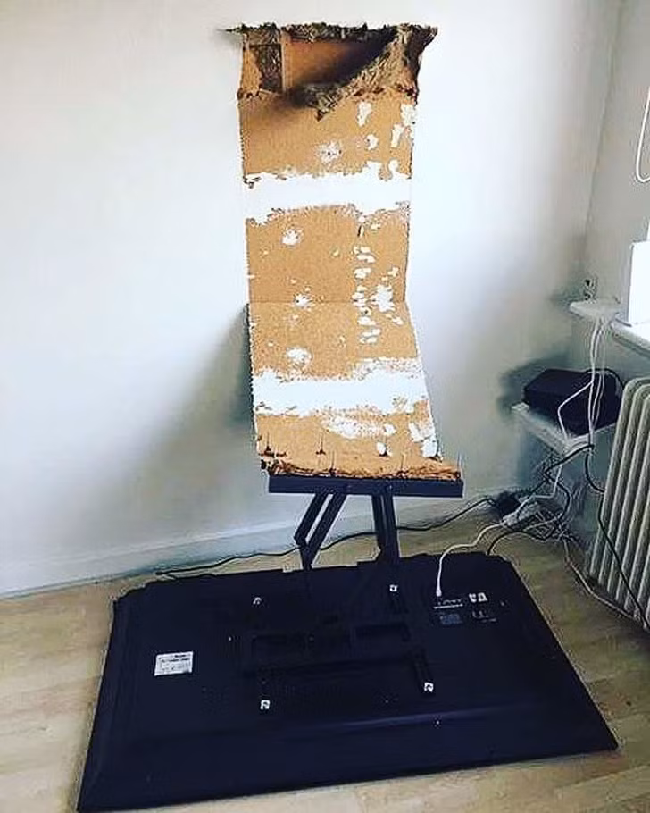 Ảnh: BrightSide Ảnh: BrightSide