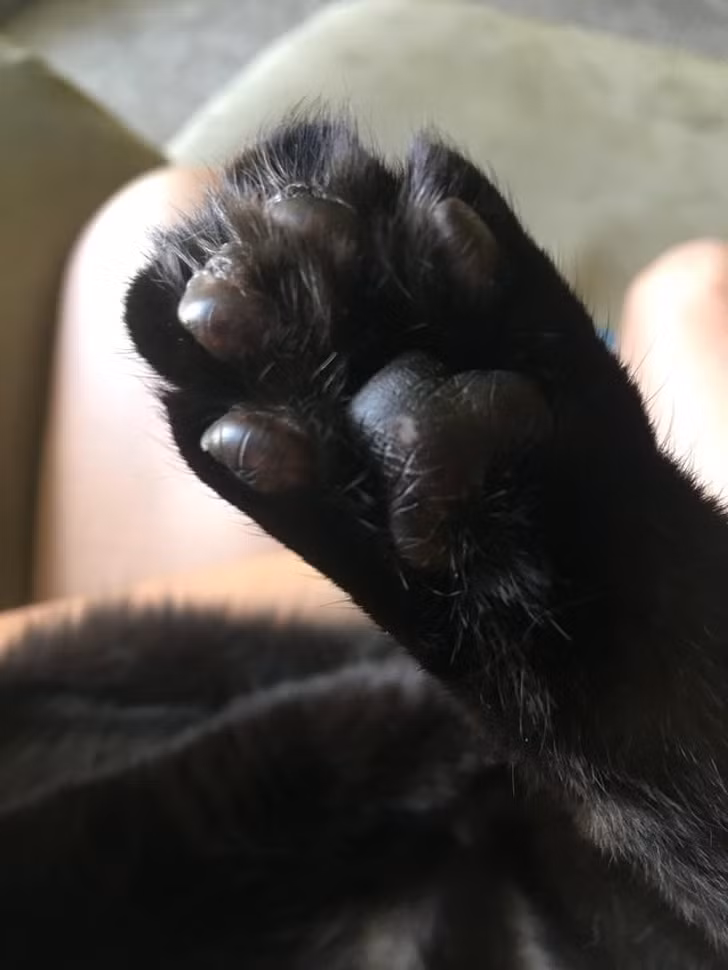 Ảnh: BrightSide Ảnh: BrightSide