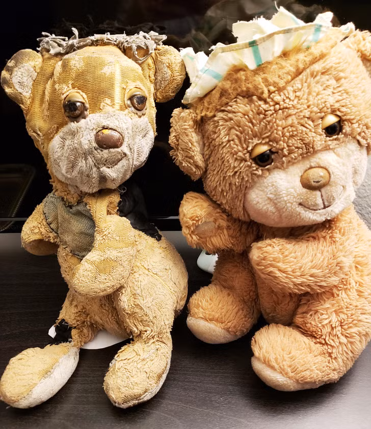 Ảnh: BrightSide Ảnh: BrightSide