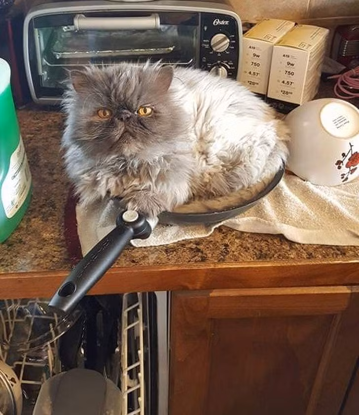 Ảnh: BrightSide Ảnh: BrightSide