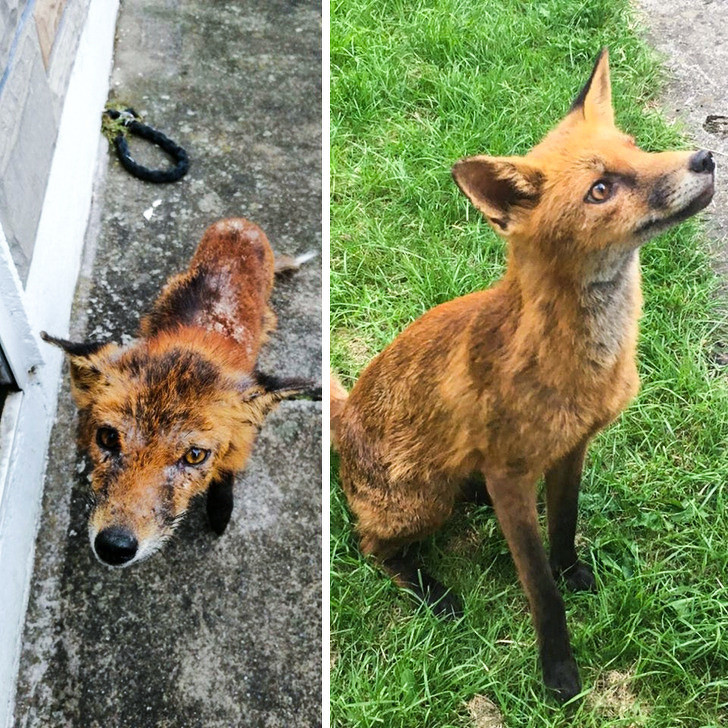 Ảnh: BrightSide Ảnh: BrightSide