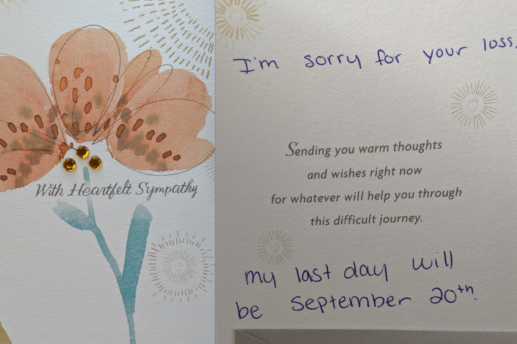 Ảnh: BrightSide Ảnh: BrightSide