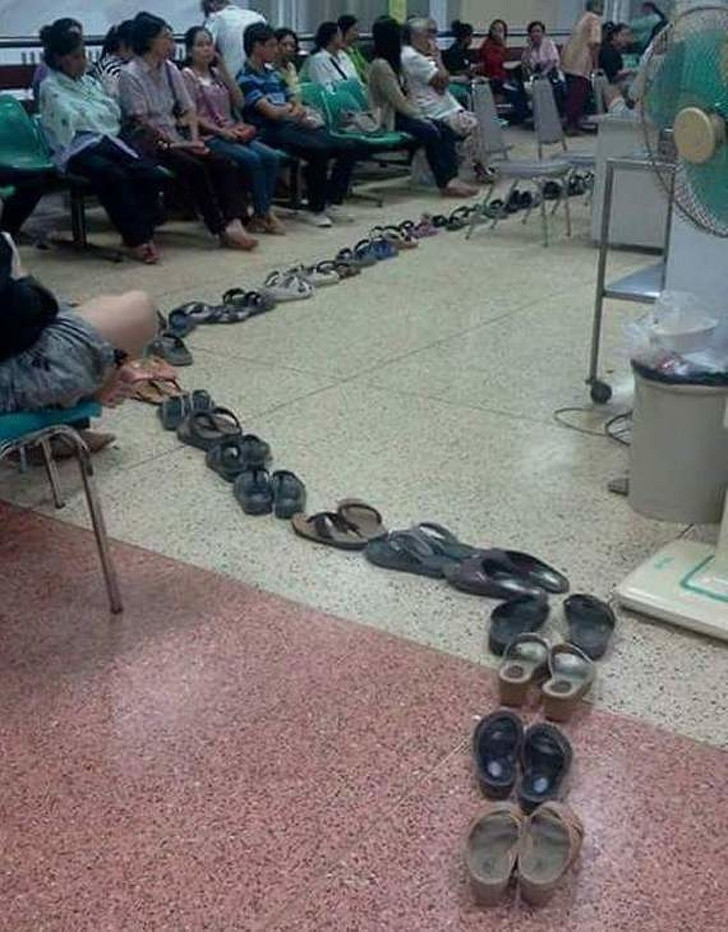 Ảnh: BrightSide Ảnh: BrightSide