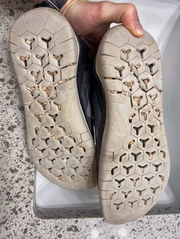 Ảnh: BrightSide Ảnh: BrightSide