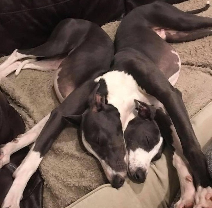 Ảnh: BrightSide Ảnh: BrightSide