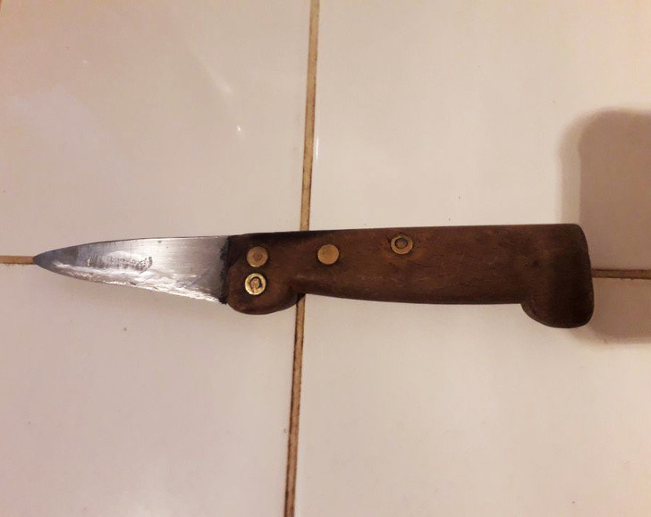 Ảnh: BrightSide Ảnh: BrightSide