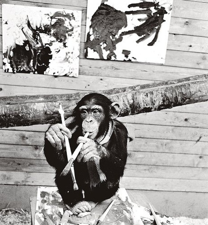 Ảnh: BrightSide Ảnh: BrightSide