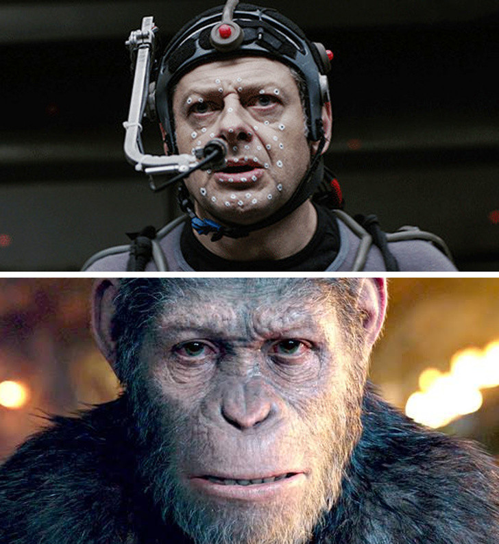 Ảnh: BrightSide Ảnh: BrightSide