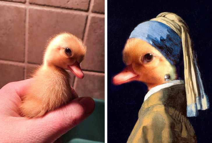 Ảnh: BrightSide Ảnh: BrightSide