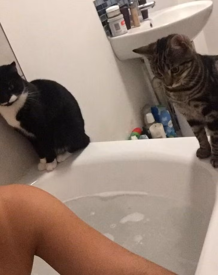 Ảnh: BrightSide Ảnh: BrightSide