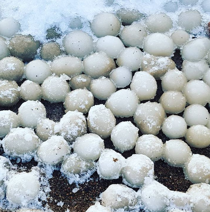 Ảnh: BrightSide Ảnh: BrightSide