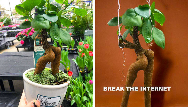 Ảnh: BrightSide Ảnh: BrightSide