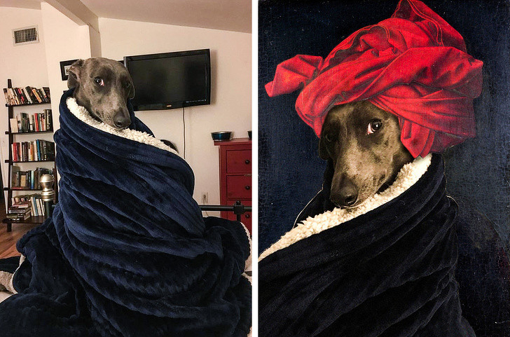 Ảnh: BrightSide Ảnh: BrightSide