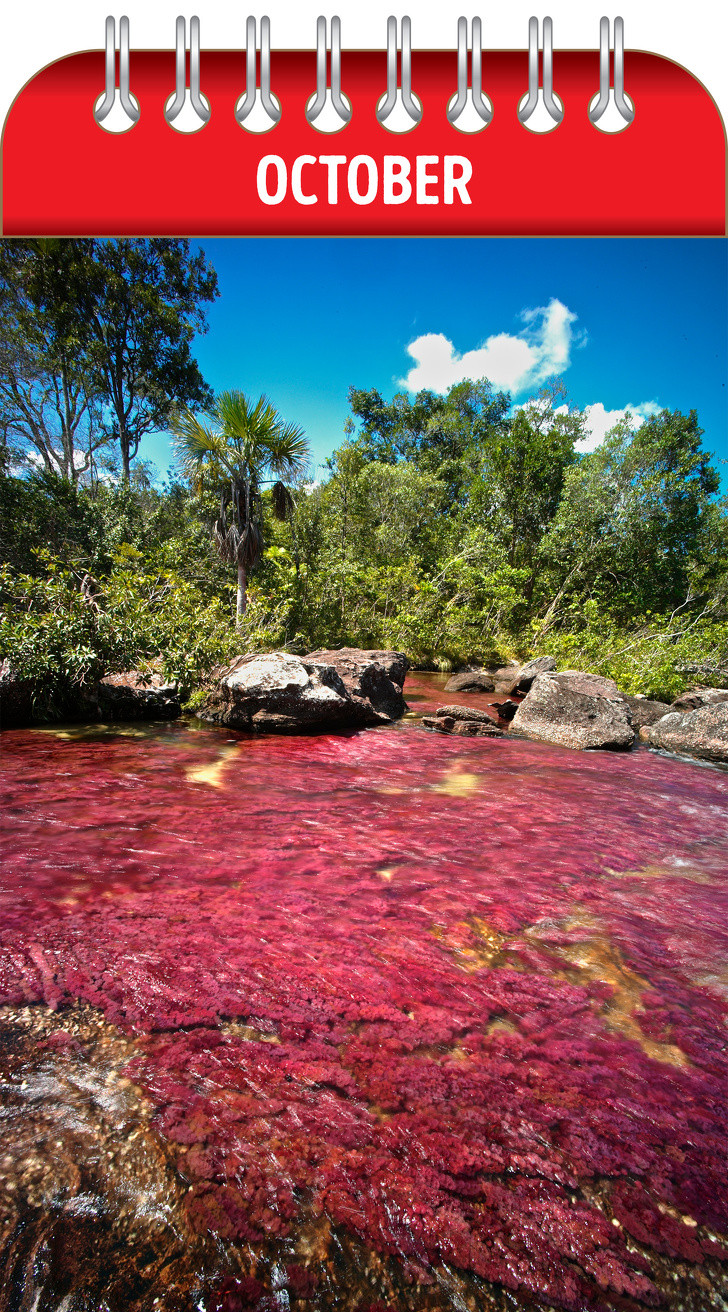 Ảnh: BrightSide Ảnh: BrightSide