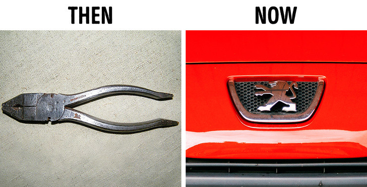 Ảnh: BrightSide Ảnh: BrightSide