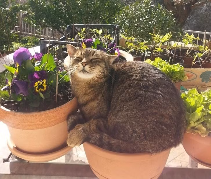 Ảnh: BrightSide Ảnh: BrightSide