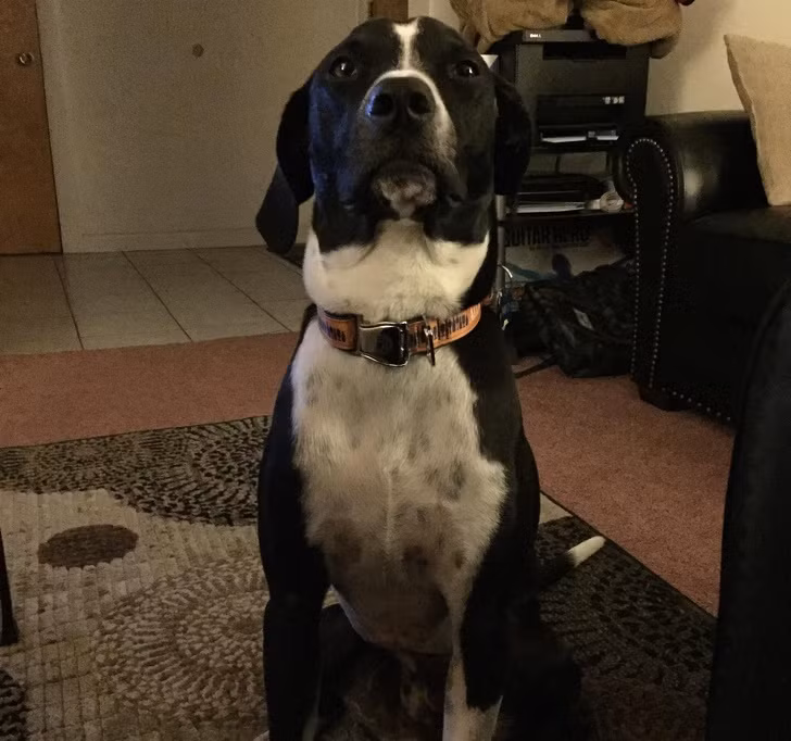 Ảnh: BrightSide Ảnh: BrightSide