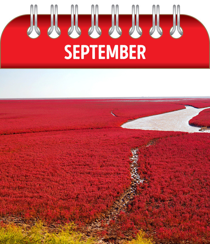 Ảnh: BrightSide Ảnh: BrightSide