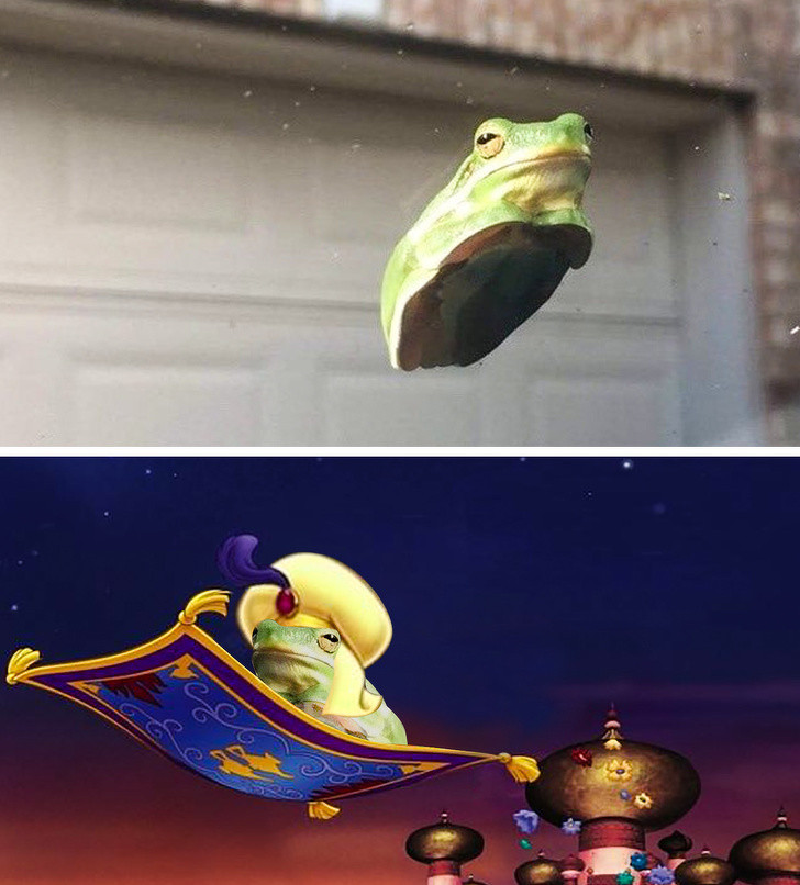 Ảnh: BrightSide Ảnh: BrightSide