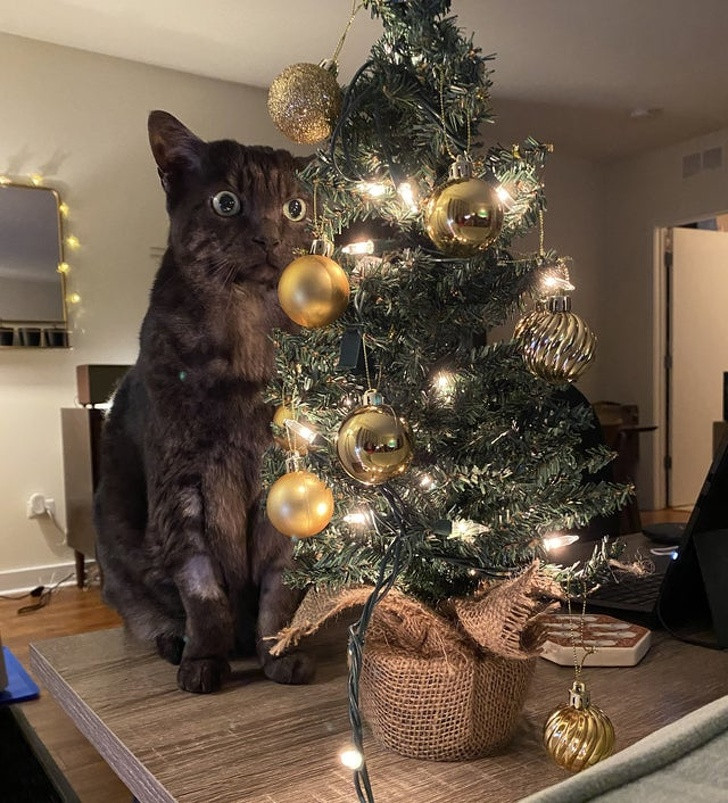 Ảnh: BrightSide Ảnh: BrightSide