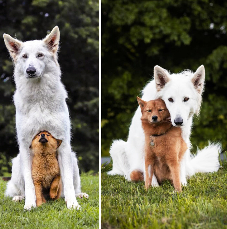 Ảnh: BrightSide Ảnh: BrightSide